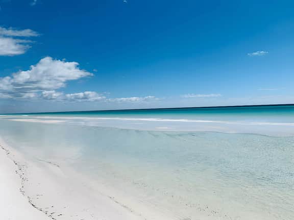 Tides 609 - Image 2