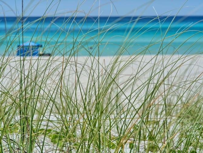 Henderson Beach State Park